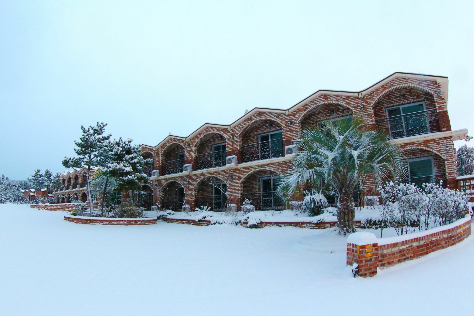 Jeju Ts Youth Hostel & Resort Seogwipo Esterno foto